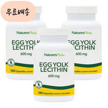 네이쳐스플러스 난황 레시틴 600m.g 180개 3통 계란 난유, 3개, 180정