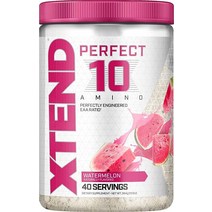 XTEND Perfect 10 아미노 EAA 파우더 수박 5g 필수 아미노산 분지쇄 아미노산 수분 공급 및 회복을 위한 전해질 40회 분량, 14.1 Ounce (Pack of 1), Fruit Punch