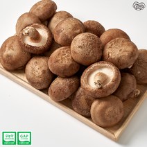 당일수확 당일발송 / 신선함 그대로 / 생표고버섯 중품, 중품 3kg, 1개