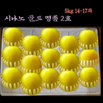 시나노골드 예산명품1호 다시생각나는 그맛 홍로에이어 인기절정 제수용 선물용 특대, 1박스, 명품1호 5kg(11-13과)