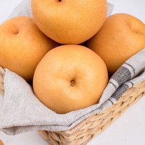 산정마을 나주 배 가정용, 1박스, 5kg(6-10과)