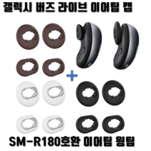 갤럭시 버즈 라이브 실리콘 이어캡 이어팁, 그레이