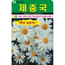 제충국씨앗 200립 국화 천연살충제 꽃씨 야생화 허브
