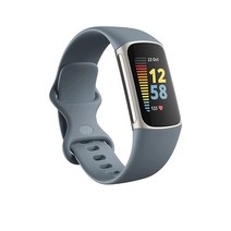 Fitbit Charge 5 고급 피트니스 내장 GPS 스트레스 관리 도구 수면 추적 24시간 심박수 등 플래티넘 미네랄 블루 원 사이즈 S & L 밴드 포함 스틸, Steel Blue/Platinum