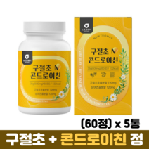 콘드로이친정 상어연골분말 관절 보스웰리아 우슬 초록입홍합 콘드리친 구절초 콘드로이친, 5통, 60정, 60정