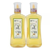 강원양봉 허니드림 사양벌꿀 튜브 1kg x 2통, 상세페이지 참조, 상세페이지 참조, 상세페이지 참조, 상세페이지 참조