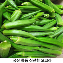 국산 2023년 특품 오크라 1kg 국산 신선한 생오쿠라 오크라 오크리 생오크라 okra 아열대작물 별모양 레이디핑거, 1개