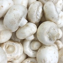 양송이 2kg