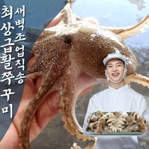 삼시세끼연구소 국내산 활 쭈꾸미 생물 국산 태안 활쭈꾸미 1kg 1키로 2kg 알배기 알쭈꾸미 사전예약 주꾸미 산지직송, 4_국산 활쭈꾸미 4kg