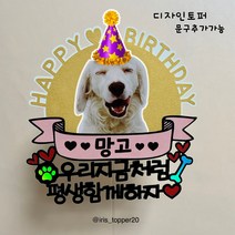 아이리스토퍼 반려동물 생일토퍼 오래오래 함께하자 HBD, 디자인토퍼(이름&나이&문구 남겨주세요)