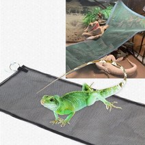 비바리움 만들기 키트 테라리움 Bearded dragon hammock 도마뱀 안락 컵, 초록