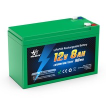 인산철 배터리 Melasta-LiFePO4 팩 12V 8ah BMS 내장 충전식 리튬 철 인산염 배터리 보트 모터 솔라 RV 용 146477