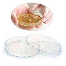 샤알레 (1봉 15개입) 패트리접시 패트리디쉬 샬레, 샤알레(1봉 15개입)