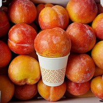 가을자두 추희 3kg 5kg 왕사이즈 옵션선택하세요, 가을자두 추희 3kg 17~18과 왕특사이즈, 1개