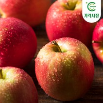 [온도씨]가락시장 사과 1개, 단품