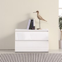 대도갤러리 클래시 하이그로시 800 2단 서랍장, 화이트(무광)