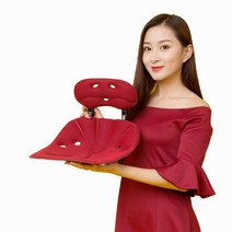 에스백 핏플러스 레귤러 2개세트 자세교정의자 허리교정 척추 보호 좌식의자, 불루/블랙, 레드/블랙