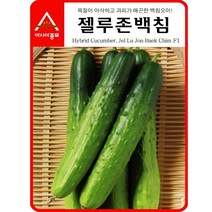 아시아종묘 젤루존백침 오이 씨앗종자 오이씨 오이씨앗, 30개