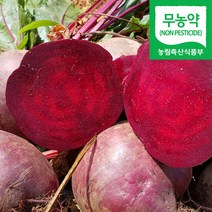해남 햇 무농약 비트 레드비트 알비트, 1박스, 10kg (약 40~59개 내외)