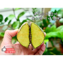 열매마 4kg 가정용 먹기좋은 작은사이즈 농장직송 2022년 햇마