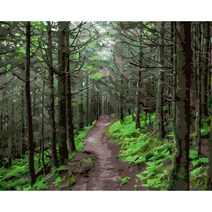 votgl diy 그림그리기 풍경 유화그리기 꽃 동물 유화그리기세트40 x 50 cm 액자 포함, 034 나무