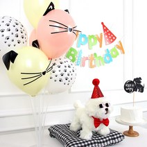 강아지생일파티 쁘띠롱실버 반려견생일, 강아지생일파티(쁘띠롱실버)