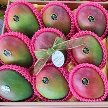 가정용 선물용 페루산 애플망고 선물세트 4kg, 일반 무지박스 페루애플망고4kg(7-9과)