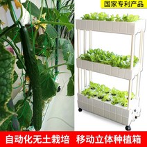 가정용 식물재배기 수경재배기 식물 재배기 실내 발코니 무토재배설비 수배채소 재배상자 농채신기 가정텃밭, 옵션03, 크다