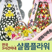 여인초꽃화분 결혼식화환 전국화환배달 친구결혼식화환 장례식꽃배달 개업화환 3단축하화환 화환추천 결혼식화환꽃배달 개업집화환 여인초예약 꽃화분여인초 꽃화분예약 예약여인초 예약꽃화분, 1.축하3단