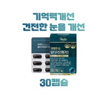 뉴일리 징코알티지오메가3 알티지오메가3 은행잎추출물 노르웨이산 정제어유 홍삼농축분말 대두레시틴, 30캡슐
