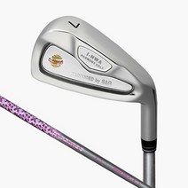 아화골프 입문용 아이언 7번 SG 남성 골프채 추천, 그라파이트L 실버[여성]