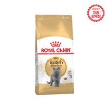 브리티시_4kg_숏헤어_로얄캐닌 151E, 상세페이지 참조, 상세페이지 참조, 상세페이지 참조