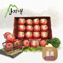 산지애 2023년 햇사과 홍로 3kg (1박스), 단품