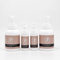 소이브라운 천연명품 핸드워시 300ml x 2 + 휴대용 핸드워시 50ml x 2