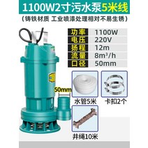 펌프 수중 가압 양수기 워터 진공 농업용 가정용 정화조 지하수 양수기 순환, (동선) 1100W 2인치 오수펌프