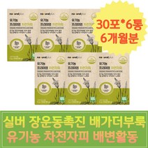실버 장운동촉진 배가더부룩 유기농 차전자피 배변활동 차전자 차전자피추천 식이섬유많은음식 차전자피 배가더부룩 딱딱한변 잔변 수용성식이섬유 뱃살 똥이안나와요 상쾌한변화