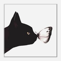diy 쉬운 명화 그리기 추천 (물감 2배) S01 블랙 캣 40x40cm 귀여운 동물 그림 아크릴 유화 물감 세트 아이방 꾸미기 색칠 집콕 실내 놀이