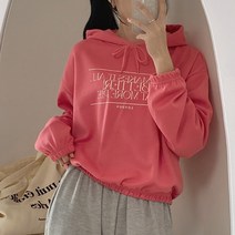 작은방 아방핏 색감굿 파이 베러 세미 크롭 후드티 5컬러