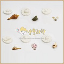 (ART)다양한 조개화석 (석고) (5인용)/EA
