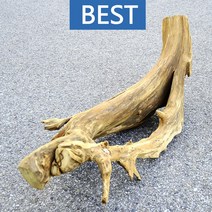 유목 대형 121cm 국산
