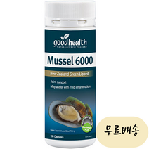 굿헬스 뉴질랜드 초록입홍합 6000mg 100개입 [미국 직배송], 100정, 1개, 100정