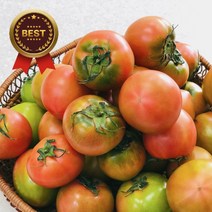 품질선별 고당도 대저 짭짤이 토마토 로얄과 2.5kg 5kg 일요일배송, 2s 2.5kg, 1개