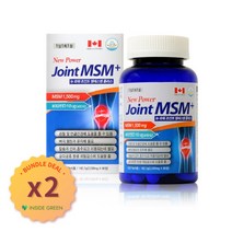 무릎관절영양보충 JOINT MSM PLUS 2통