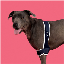 (양쪽) 팔꿈치 보조기 BT SOFT PLUS 발토보호대 /애견관절보호 강아지 재활 점펫, L