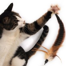 천연깃털 고양이 장난감 스트레스해소 꿩깃털