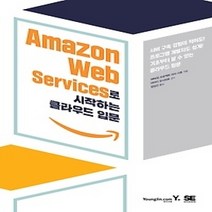 [개똥이네][중고-최상] Amazon Web Services로 시작하는 클라우드 입문