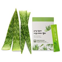 [스페셜 세트] 생잎 1kg+사포나리아 젤리 10포