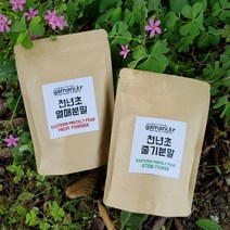 천년초가루 줄기 분말 열매분말 국내산 천년초열매분말, 1개