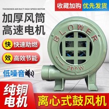 무선 송풍기 충전식 배터리 휴대용 고출력 건조기 소형 가정용 산업용 전기 무선 먼지 제거 차량 흡입 가정용 소형 전기 송풍기 220V 스토브 보일러 송풍기 저소음 원심 송풍기, I, 단일사이즈