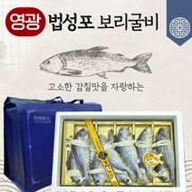 영광 법성포 보리굴비 10미 (면세) 27cm 29cm 31cm 33cm 가정용 설날선물세트 산지직송, 26~27, 가방추가